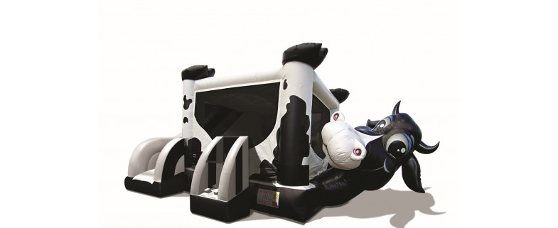 INFLATABLE